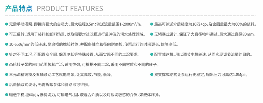 轉(zhuǎn)子泵特點(diǎn).jpg